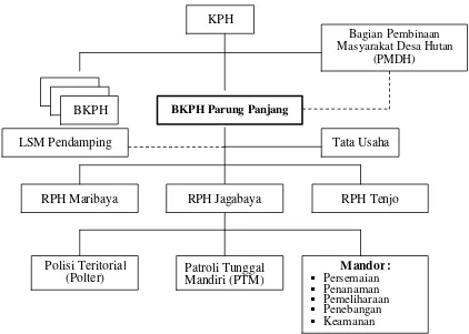 Gambar 8. Struktur Organisasi BKPH Parung Panjang 