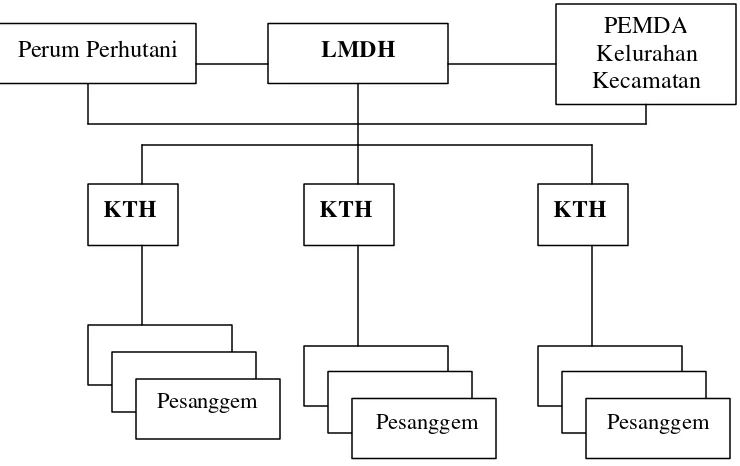 Gambar 10.  Struktur Organisasi Program PHBM 
