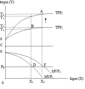Gambar 2.  Respon Output (Y) terhadap Penggunaan Input (X) 