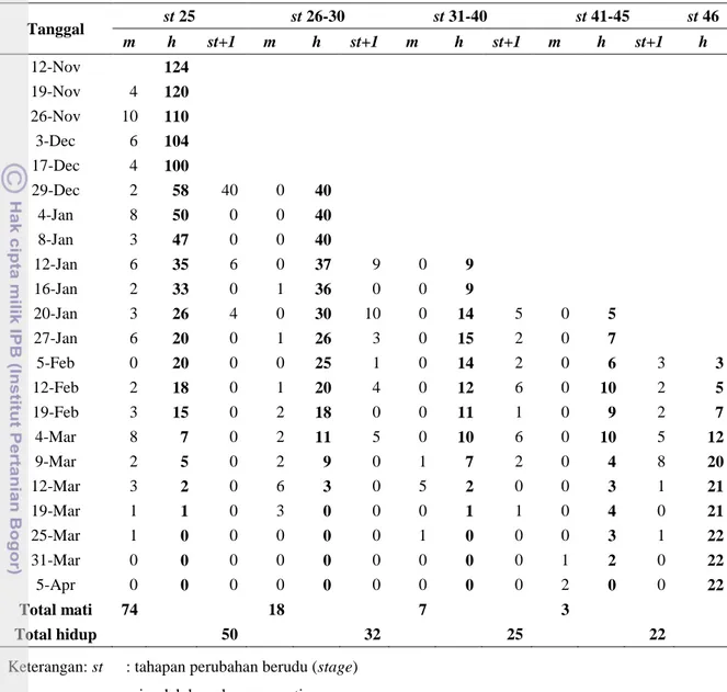 Tabel 4  Perkembangan Berudu R. margaritifer pada habitat kolam Mandalawangi  Tanggal  st 25  st 26-30  st 31-40  st 41-45  st 46  m  h  st+1  m  h  st+1  m  h  st+1  m  h  st+1  h  12-Nov  124  19-Nov  4  120  26-Nov  10  110  3-Dec  6  104  17-Dec  4  10