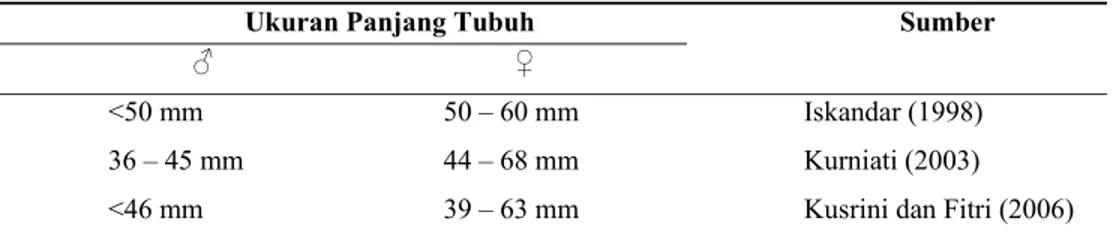 Tabel 1  Perbandingan ukuran panjang tubuh R. margaritifer 