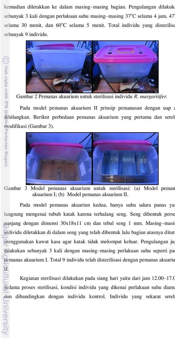 Gambar 2 Pemanas akuarium untuk sterilisasi individu R. margaritifer.  Pada  model  pemanas  akuarium  II  prinsip  pemanasan  dengan  uap  air  dihilangkan