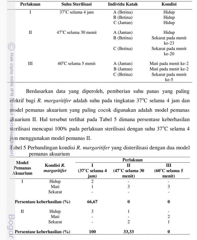 Tabel 5 Perbandingan kondisi R. margaritifer yang disterilisasi dengan dua model  pemanas akuarium  Model  Pemanas  Akuarium  Kondisi R