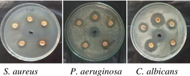 Gambar  1.  Luas  Zona  Bening  Uji  Antimikrobia  Sarang  Lebah  Madu Trigona spp 
