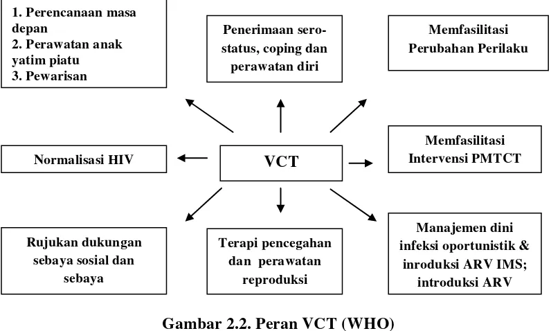 Gambar 2.2. Peran VCT (WHO) 