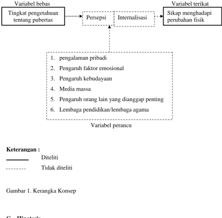 Gambar 1. Kerangka Konsep  