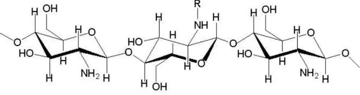 Gambar 2. Struktur molekul chitosan 2.3.4 Manfaat Chitosan