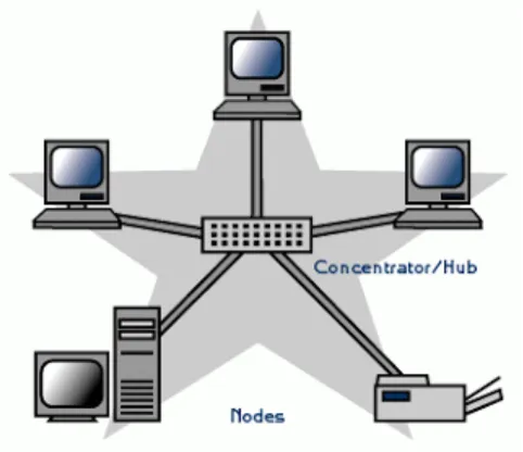 Gambar 2.1 Konektivitas Client Server 