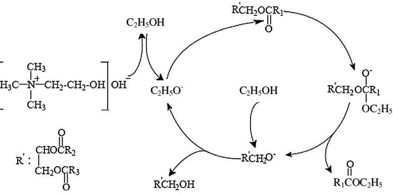 Gambar 2.2 Skema Reaksi Transesterifikasi Choline Hydroxide pada Proses Sintesis Biodiesel [13] 