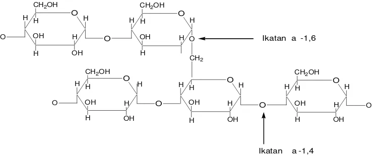 Gambar 2. Struktur molekul amilopektin (Swinkels, 1985). 