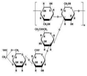 Gambar 3. Struktur molekul xanthan gum (Williams and Phillips, 2004). 