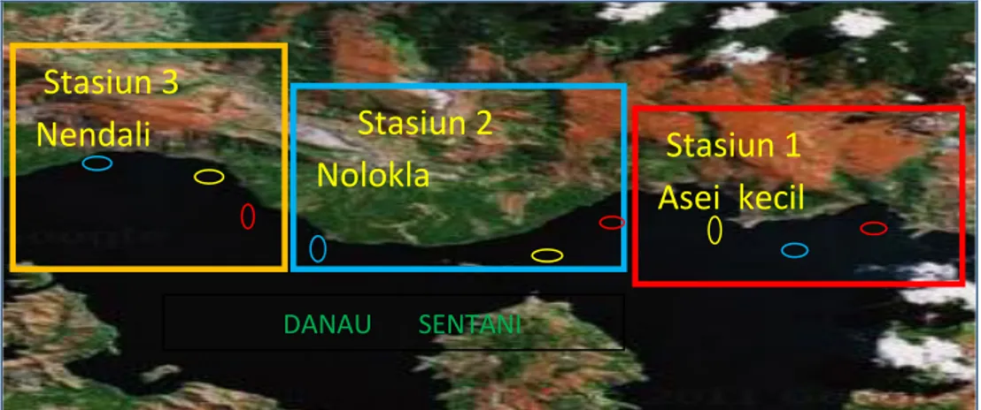 Gambar 1. Peta  stasiun 1, stasiun 2 dan stasiun 3 lokasi penelitian 
