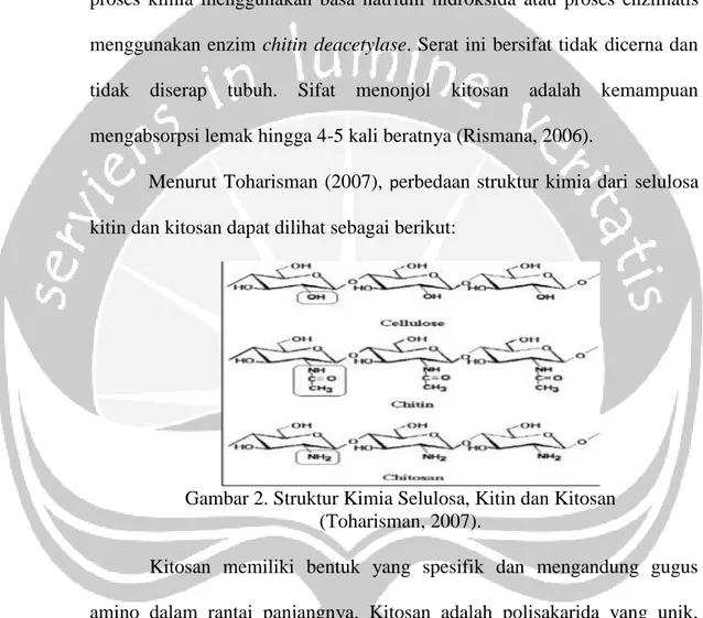 Gambar 2. Struktur Kimia Selulosa, Kitin dan Kitosan   (Toharisman, 2007). 