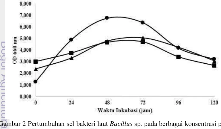 Gambar 2 Pertumbuhan sel bakteri laut Bacillus sp. pada berbagai konsentrasi pati. 