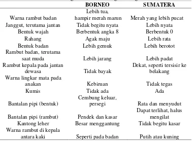 Tabel 1. Perbedaan fisik orangutan Borneo dengan orangutan Sumatera 