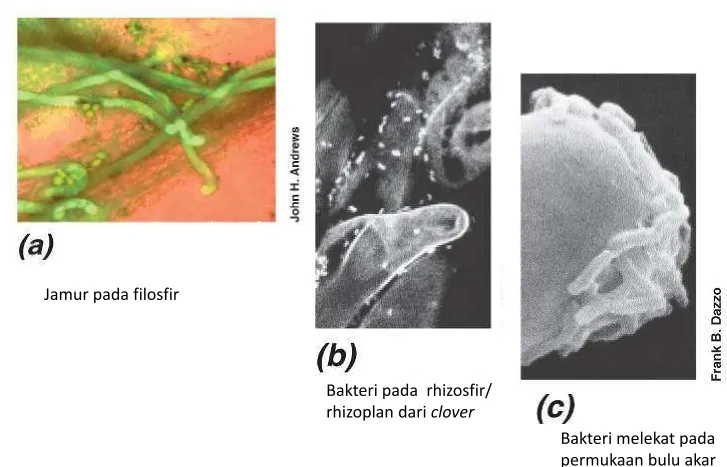 Figure 23.13a