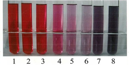 Gambar 4.  Standar warna ungu (antosianin) berdasarkan tingkatan pH (Sari et al.,  2005) 