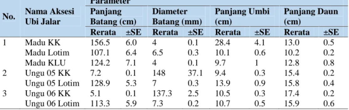 Tabel 2. Perbandingan Nilai Rerata dari Parameter Kuantitatif Aksesi Ubi Jalar.