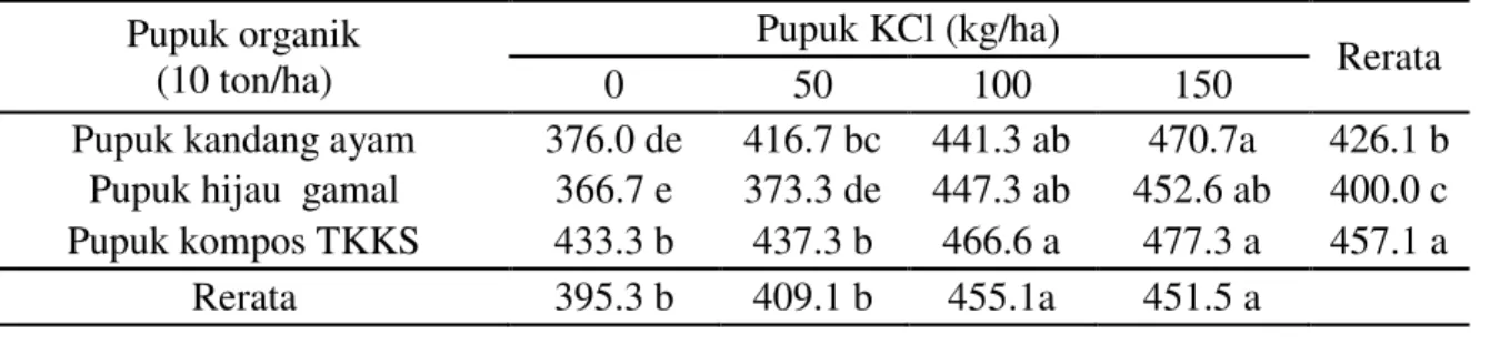 Tabel  4  menunjukkan  bahwa  pemberian  pupuk  organik  kompos  TKKS  10  ton/ha  dan  KCl100  kg/ha  mampu  meningkatkan  diameter  umbi  secara  nyata  dibandingkan  kombinasi  lainnya,  namun  berbeda  tidak  nyata  dengan  pemberian  pupuk  kompos  TK