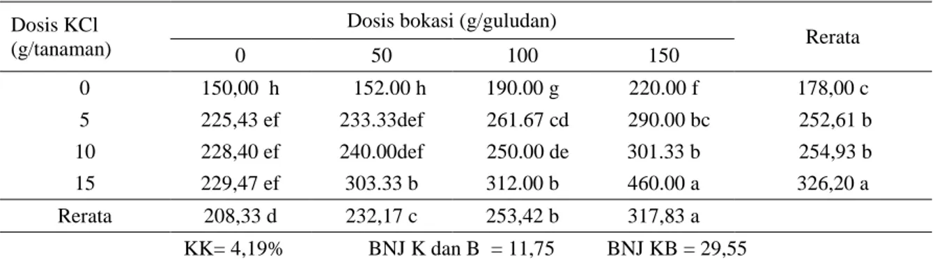 Tabel 2.  Rerata Bobot Umbi Per Umbi Ubi Jalar pada Beberapa Dosis KCl dan Bokasi. 