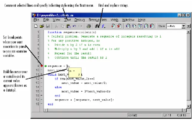 Gambar 5. Text Editor. 