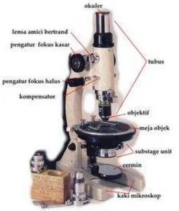 Gambar 1: Mikroskop Polarisasi (klik gambar untuk memperbesar) 