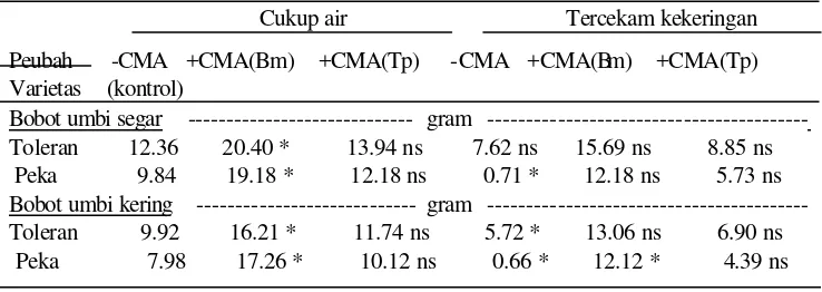 Tabel 11. Pengaruh perlakuan CMA terhadap peubah hasil tanaman bawang                  merah pada kondisi cukup air dan tercekam kekeringan