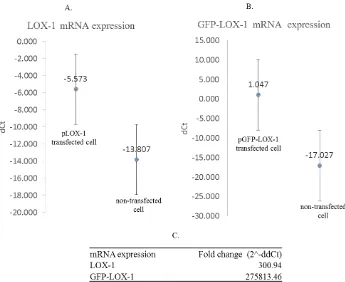 Figure 3. The mRNA expression of LOX-1 and GFP-LOX-1 in HeLa cells. The mRNA expression was calculated as dCt that presented the target gene Hela cells, 300 times and 275,813 times, respectively