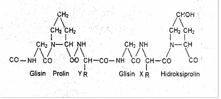 Gambar 2.  Struktur kimia gelatin (Grobben, et al.  2004). 