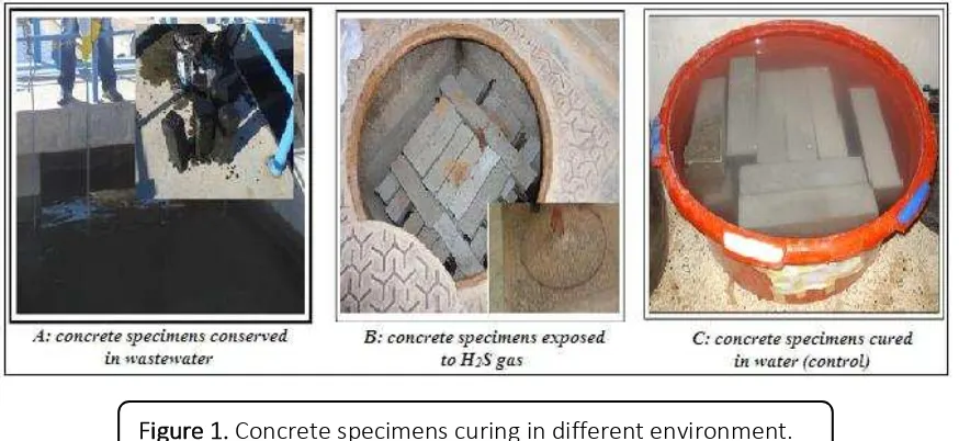 Figure 1. Concrete specimens curing in different environment. 