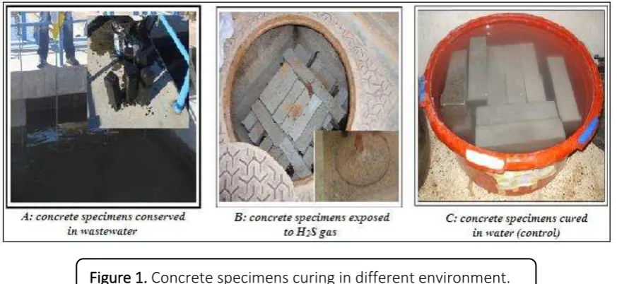Figure 1. Concrete specimens curing in different environment. 