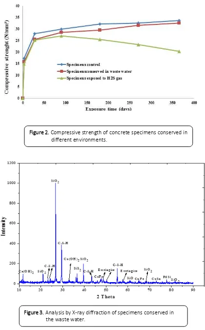 Figure 2. Compressive strength of concrete specimens conserved in 