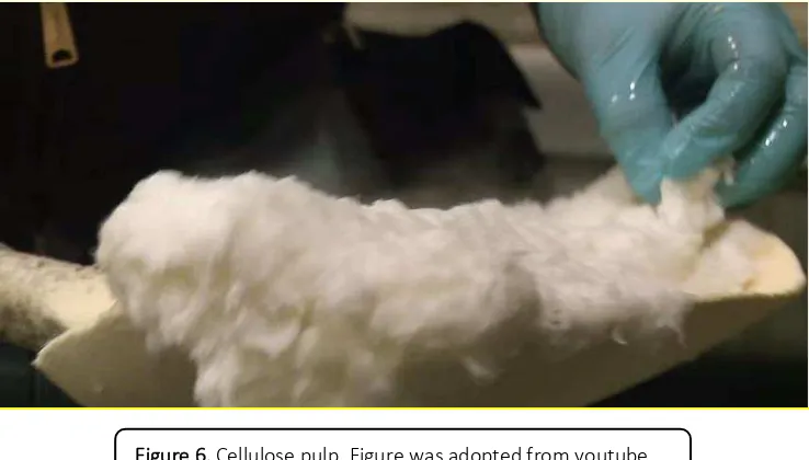 Figure 6. Cellulose pulp. Figure was adopted from youtube. 