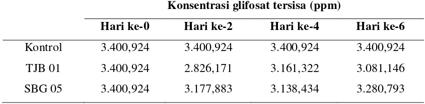 Tabel 4.3 Konsentrasi glifosat sisa degradasi oleh isolat bakteri penghasil 
