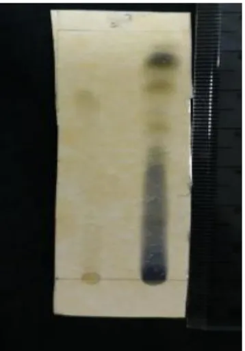 Gambar  1  menunjukkan  pada  noda  bercak  terdapat  senyawa  flavonoid  yang  ditandai  warna  kuning  setelah  penambahan  AlCl 3   sehingga  dapat  membentuk  gugus  ortohidroksi  kompleks  tidak  tahan  asam  pada  flavonoid  sehingga  menyebabkan  te