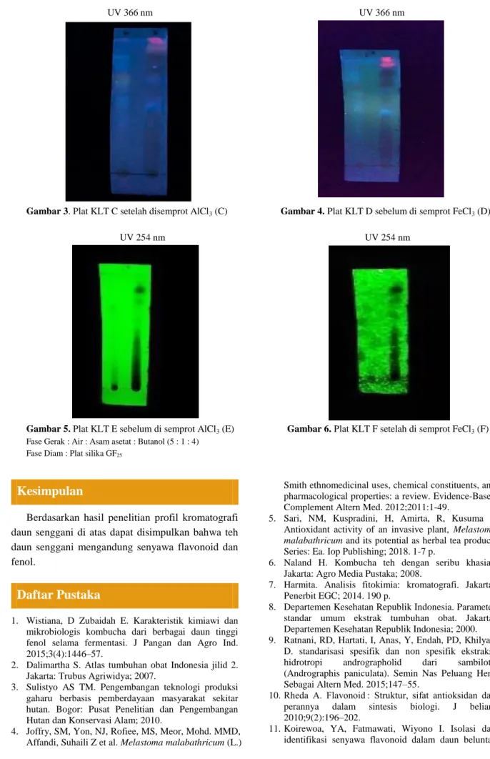 Gambar 3. Plat KLT C setelah disemprot AlCl 3  (C)                      Gambar 4. Plat KLT D sebelum di semprot FeCl 3  (D)    UV 254 nm                                                                          UV 254 nm 