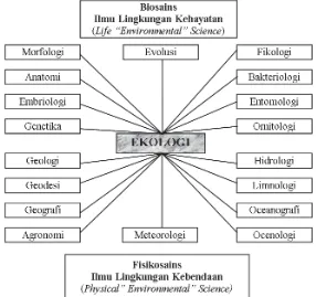Gambar 2: Ekologi sebagai Dasar Ilmu Lingkungan (Tandjung,2001)
