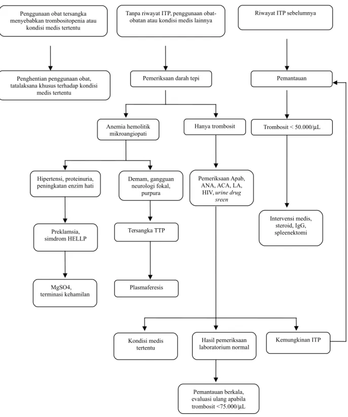 Gambar 1. Algoritma evaluasi trombositopenia pada kehamilan 8 Diagnosis banding ITP pada kehamilan