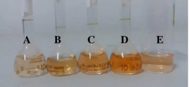 Gambar 4. 6 Warna Larutan Kompleks Fe(II)-Fenantrolin  dengan Pereduksi Na 2 SO 3  dari kiri berturut-turut pH buffer 