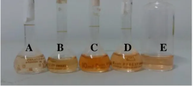 Gambar 4. 8 Warna Larutan Kompleks Fe(II)-Fenantrolin  dengan Pereduksi NH 2 OH.HCl dari kiri berturut-turut pH buffer 