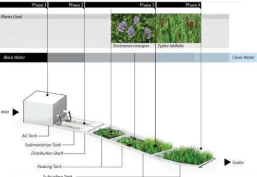 Gambar 4.7 Desain Phytotechnology pada desain sekolah alam di Dusun Magersari 