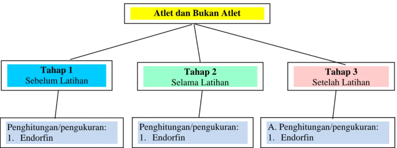 Gambar 1. Rancangan Penelitian 