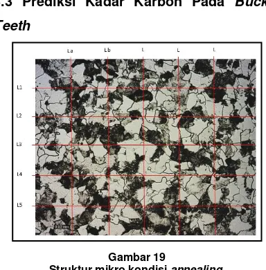 Gambar 17   kondisi as it isbagian belakang posisi Pada pengamatan hasil pemotretan mikro struktur bucket teethbucket teeth  bagian 