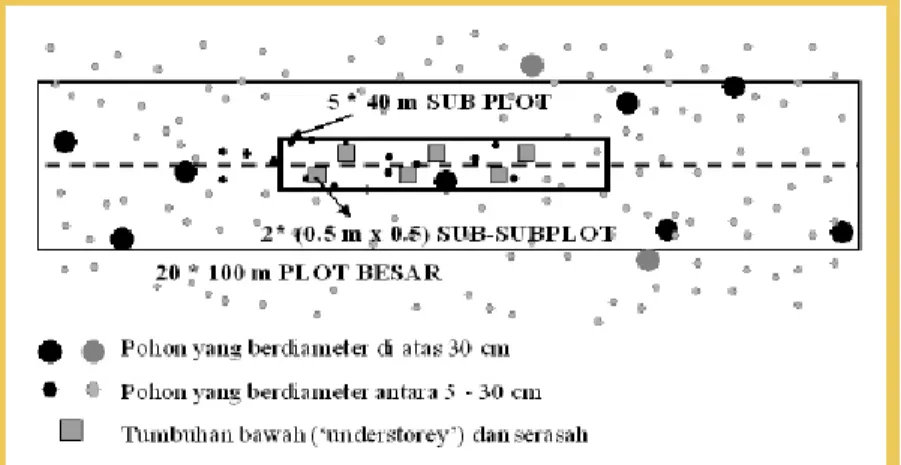 Gambar 1.  SUB PLOT contoh untuk pengukuran biomassa dan  nekromasa  