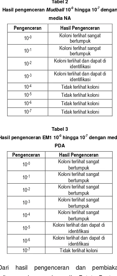 Tabel 3 