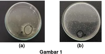 Gambar 1 (a) Biakan Pada NA dengan Pengenceran EM1 