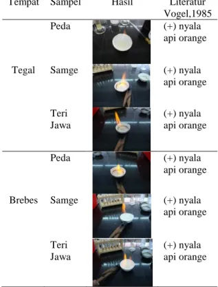 Tabel 1.1 Hasil uji kualitatif Na +