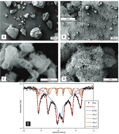 Figure 2. Scanning electron micrographs of GEHunused GEH-material at 77 K. Aka1GEH-material with insert showing a close-up of the material to facilitate comparison to the biocoated material (Figure 2D), C) biogenic Fe(III) mineralsand encrusted cells of st
