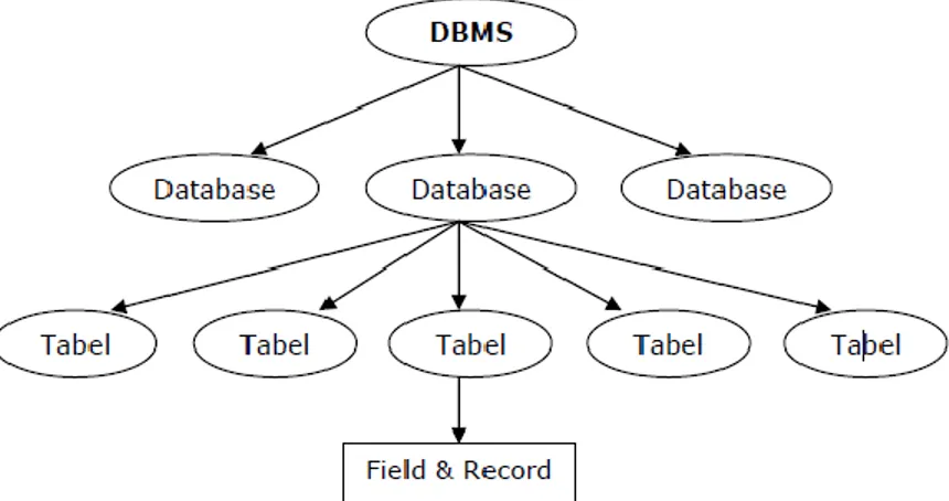 Gambar 2.5 Hierarki Database 