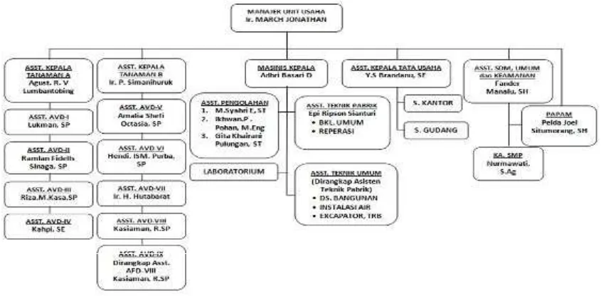 Gambar 4.2 Struktur Organisasi PTPN IV Gunung Bayu